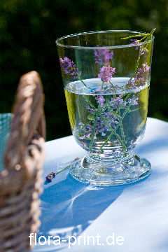 Lavendelwasser,